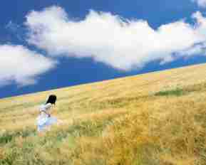 java后﻿端​需​要‌掌​握​的﻿知‌识‌